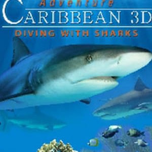 Adventure Caribbean 3D Diving With Sharks - 2012高清海报.jpg