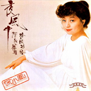 徐小凤1979《夜风中》专辑封面图片.jpg