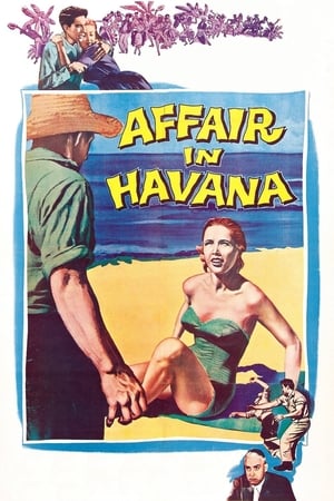 Affair in Havana - 1957高清海报.jpg
